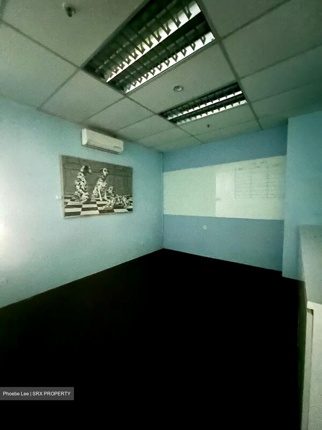 A'posh Bizhub (D27), Factory #513414221